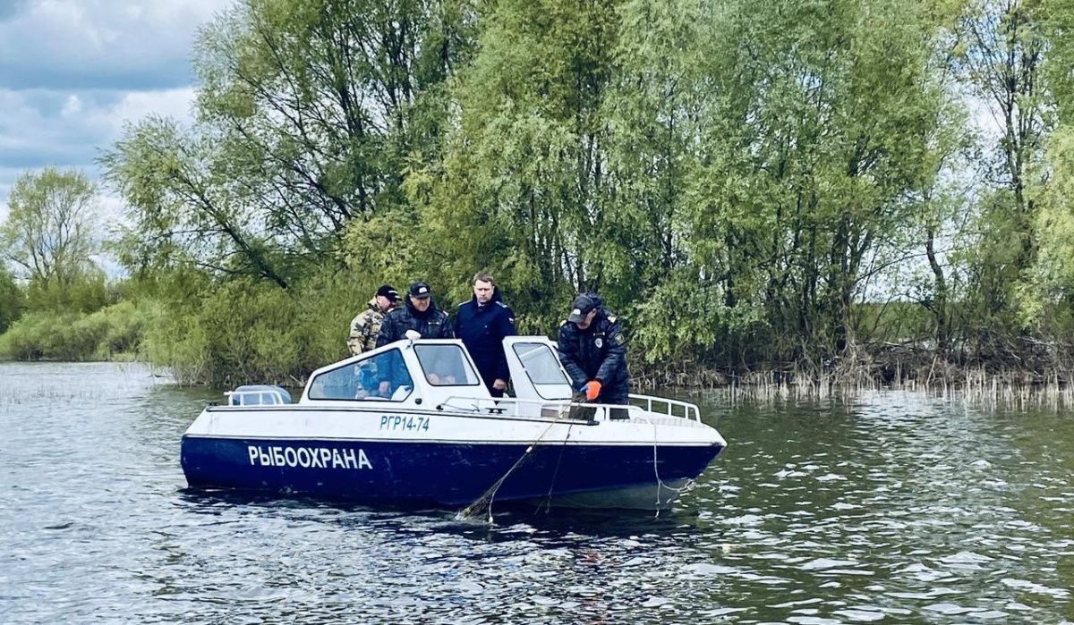 В Нижегородской области ведут активную борьбу с браконьерами 