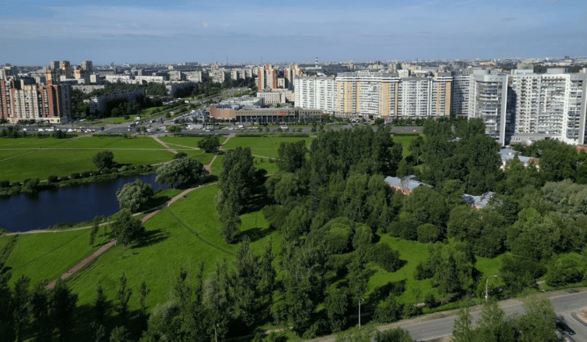 Жители Фрунзенского района останутся без зеленых насаждений из-за расширения Южного шоссе