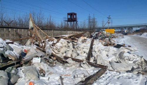 Член петербургского «Яблока» Леонов проверил сообщения о новой свалке в Невском районе