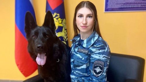 В Петербурге полицейская собака раскрыла убийство девушки