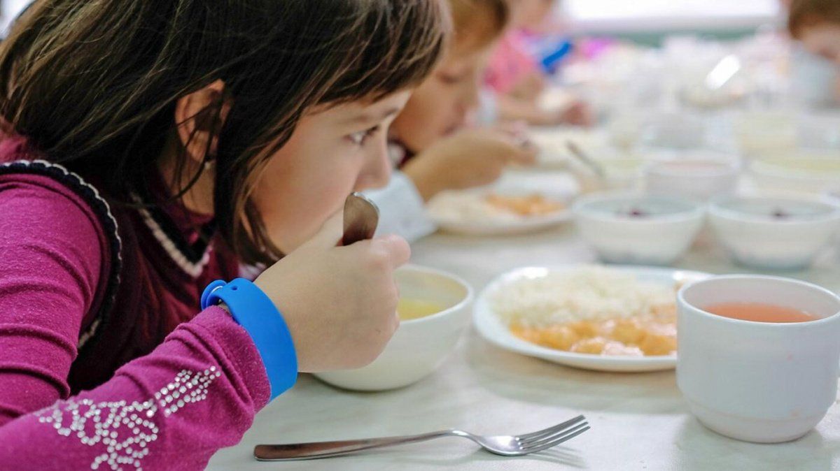 "Артис-детское питание" выиграл тендеры в Колпино лишь за счет демпинга цен