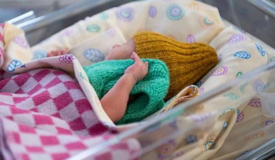 Население Санкт-Петербурга продолжает расти, показывают новые данные