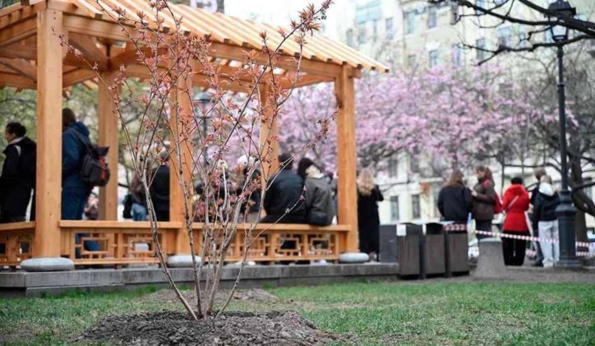 Леус сообщил, какой будет погода в Петербурге 4 мая