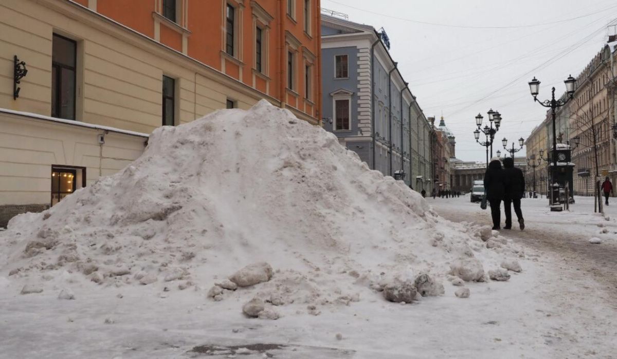 Блокадница Лозгачева отругала власти Петербурга за плохую уборку снега