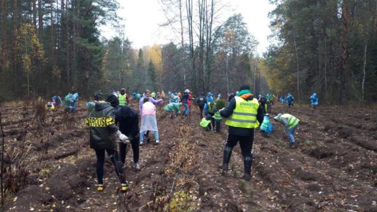 По итогам акции &quot;Сохраним лес&quot; Нижегородская область заняла лидирующую позицию