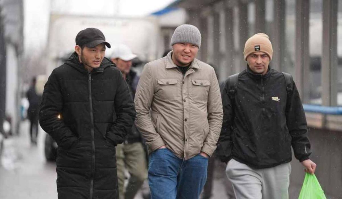 В Петербурге и Ленобласти с 2026 года подорожает патент для мигрантов