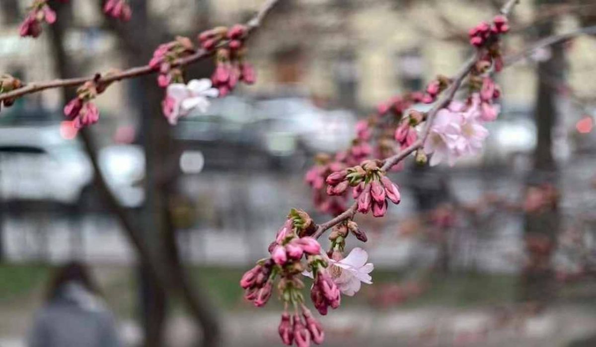 Леус рассказал о погоде в Петербурге 21 апреля