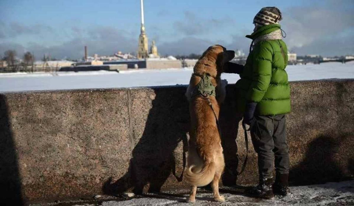 Скандинавский антициклон принесет похолодание в Санкт-Петербург