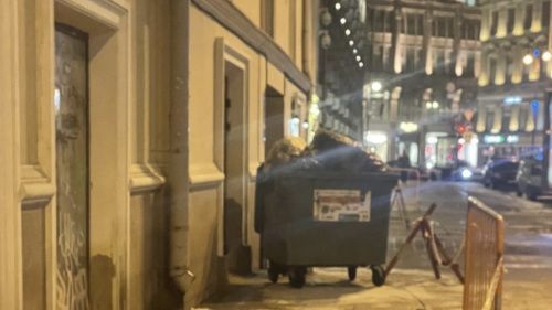 Мундеп Гадзиковский указал на проблемы с вывозом мусора в Невском районе Петербурга