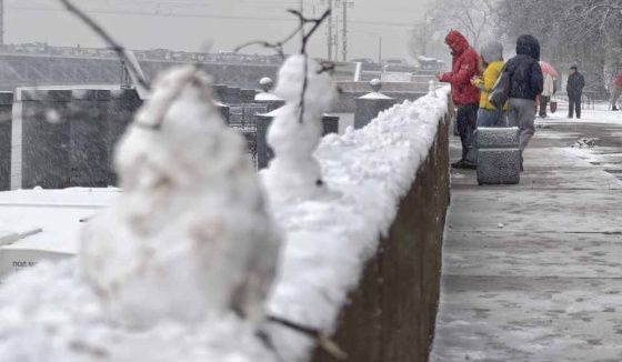 Леус рассказал о погоде в Петербурге на 20 ноября