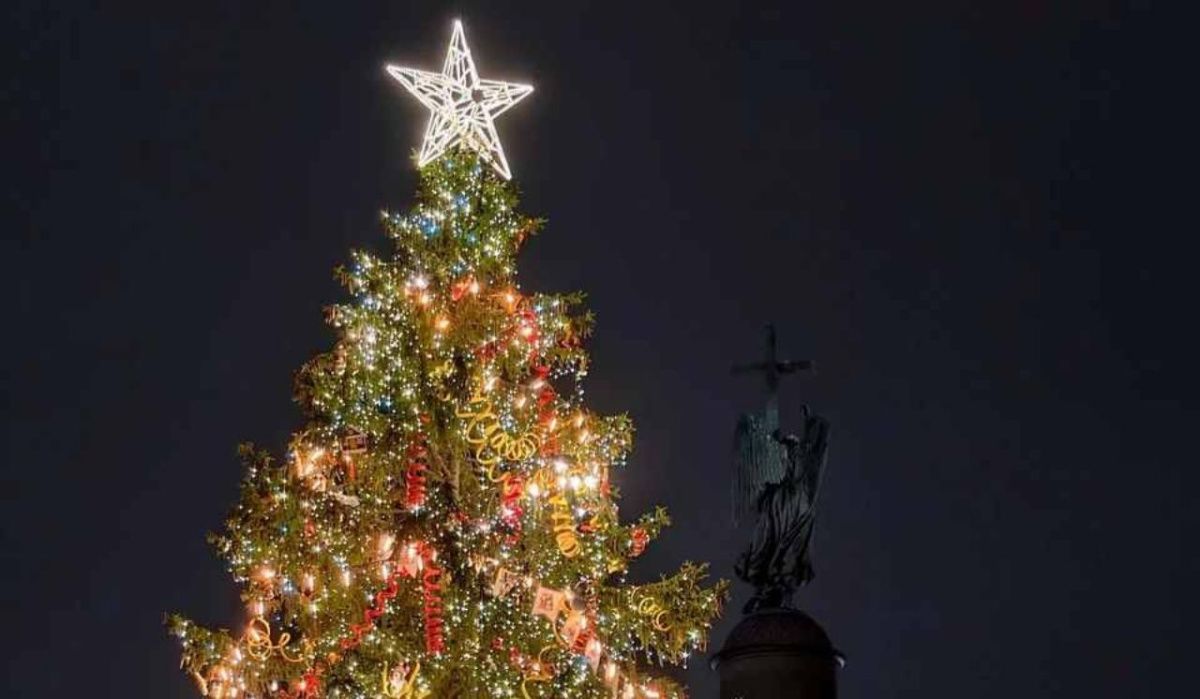 Главная ель на Дворцовой продолжит радовать петербуржцев