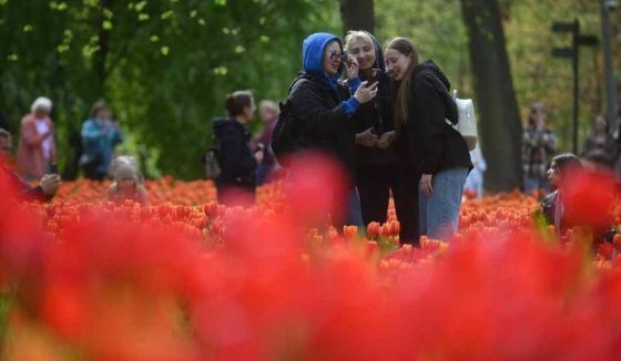 На Елагином острове высадили рекордные 226 тысяч тюльпанов