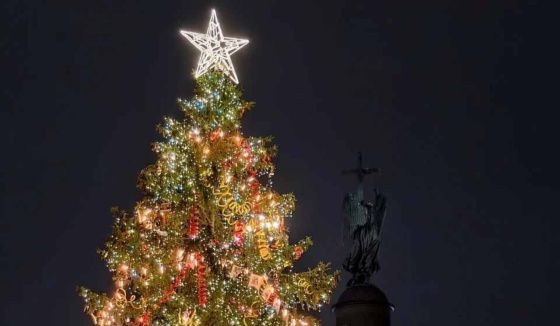 Главная ель на Дворцовой продолжит радовать петербуржцев