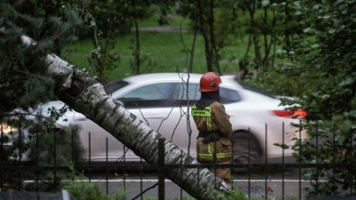 Два человека пострадали при непогоде в Санкт-Петербурге