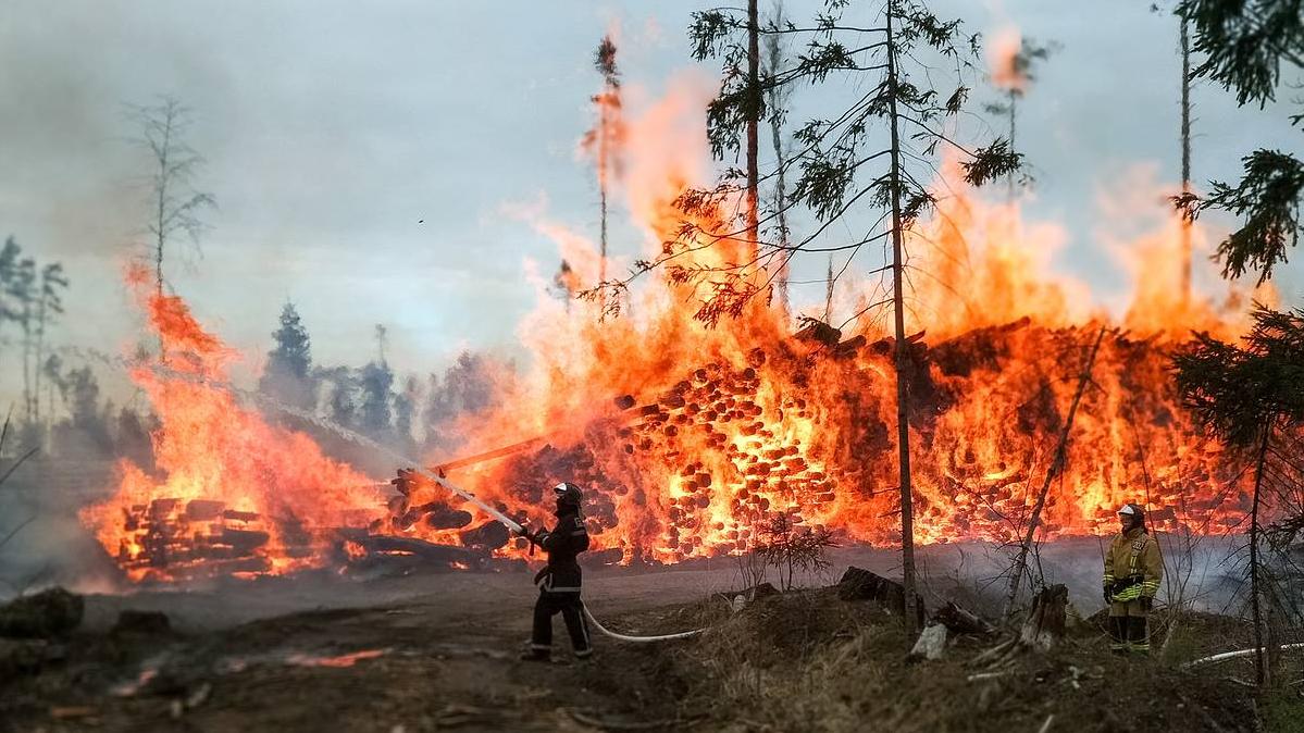 Рослесхоз порекомендовал ввести режим ЧС в Новосибирской области 