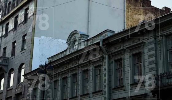 Муж директора БДТ пострадал от упавшей лепнины с особняка Салова