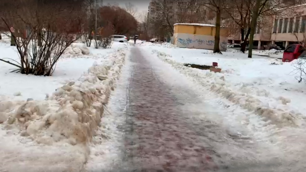 Короткий маршрут превращается в квест: юрист Баханович показала видео с непроходимых улиц Петербурга
