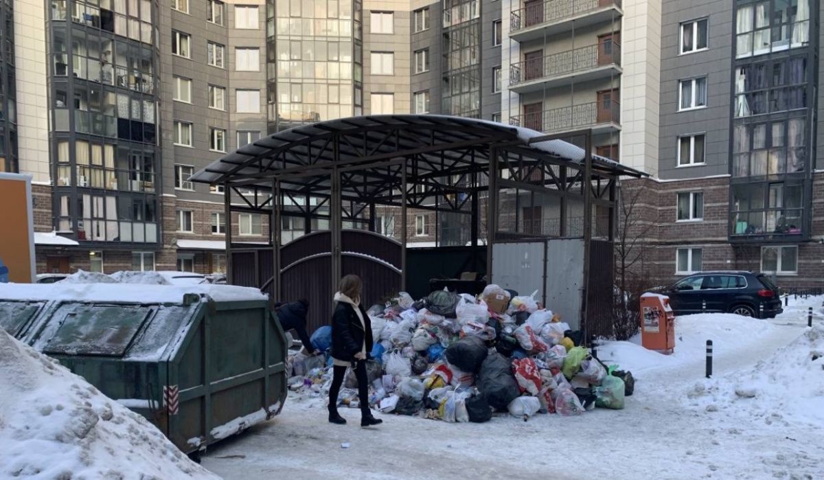 Десять дней петербургские власти не слышали жалобы на мусорную проблему