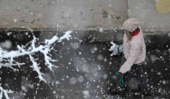 Синоптик Леус рассказал о прогнозе погоды в Петербурге на 2 марта