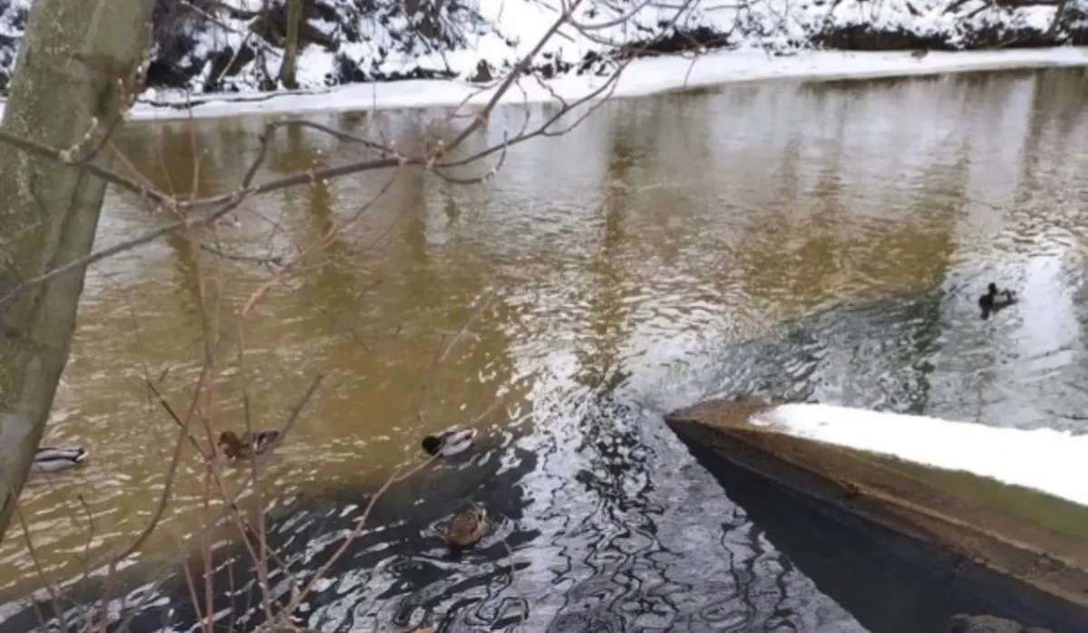 Очевидцы засняли слив черной субстанции в реку Оккервиль в Петербурге