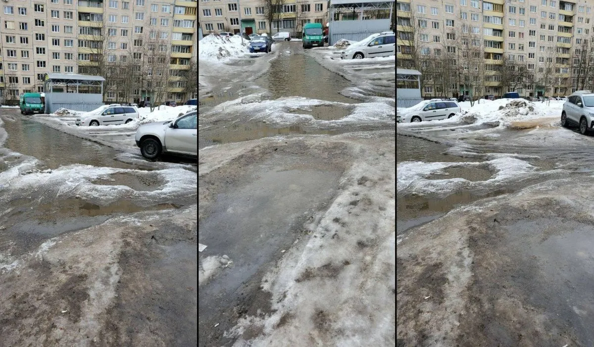 Все само растает: петербуржцы уже не ждут от Смольного качественной уборки снега