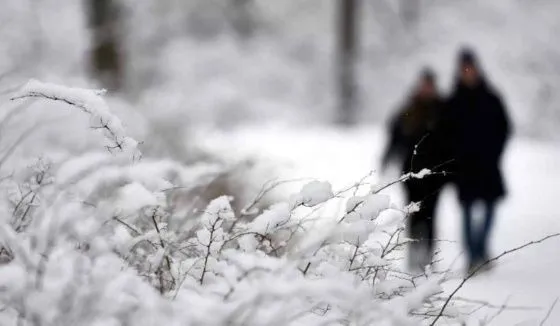 В Петербурге из-за мороза объявлен "жёлтый" уровень погодной опасности