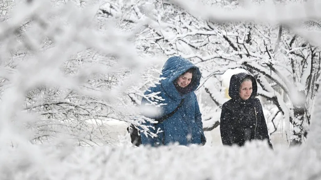 За половину декабря в Петербурге выпало почти 70% месячной нормы снега