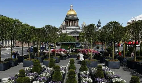 СК заинтересовались садом у Мариинского дворца за 162 миллиона рублей