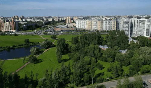 Жители Фрунзенского района останутся без зеленых насаждений из-за расширения Южного шоссе