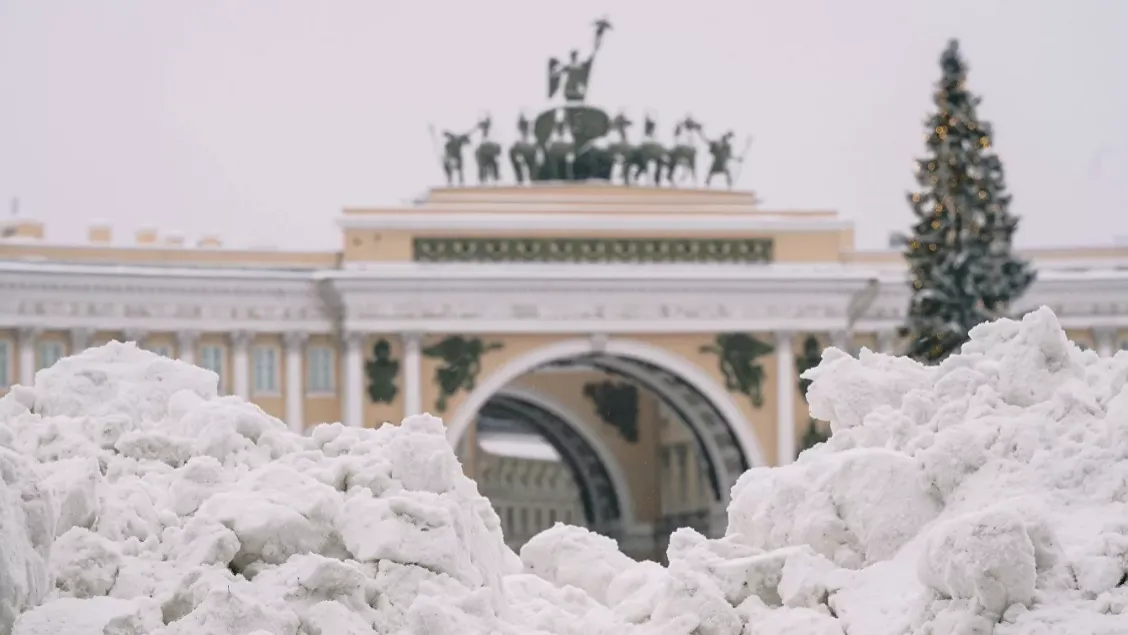 Общественница Дмитриева: власти Петербурга должны услышать замечания блокадников об уборке снега 