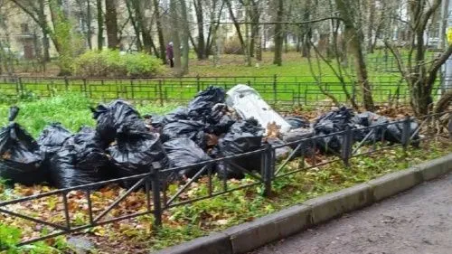 Петербуржцы бьют тревогу: пакеты с мусором после субботника не могут убрать почти неделю
