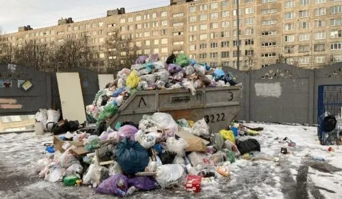 Смольный не решает «мусорные» проблемы Петербурга